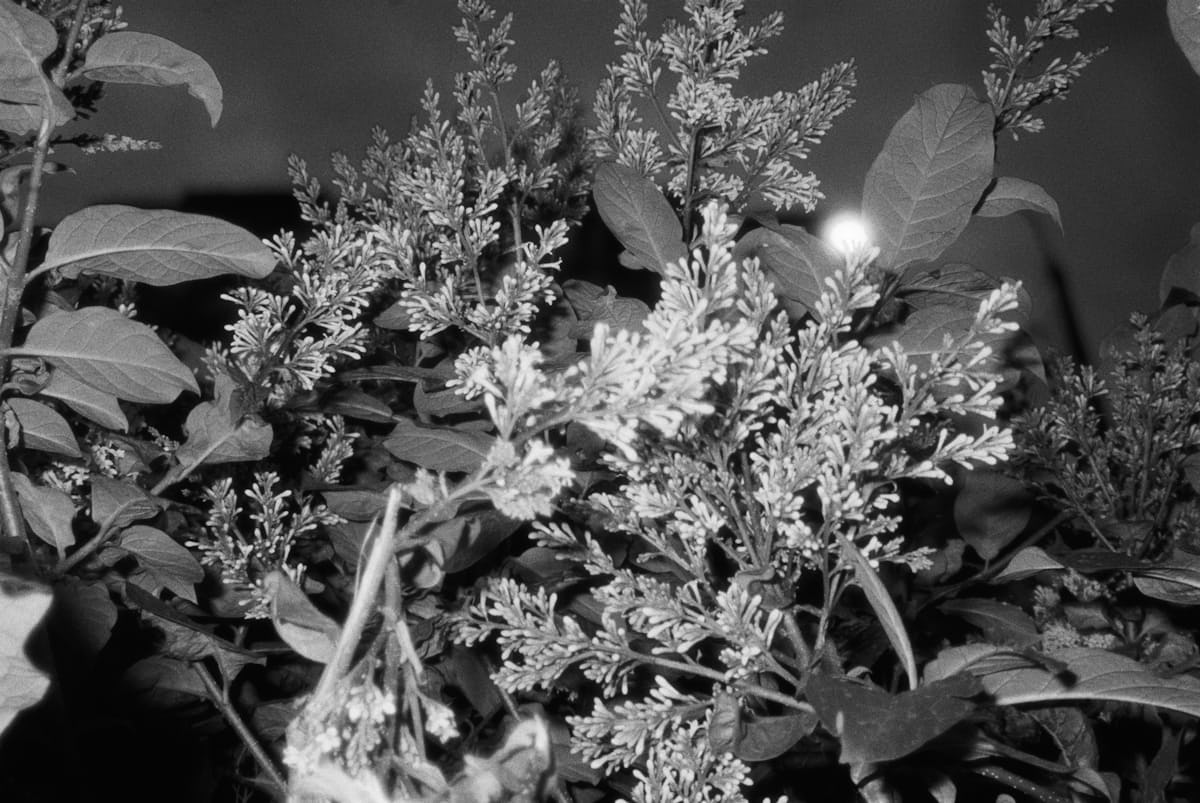 500足彩比分